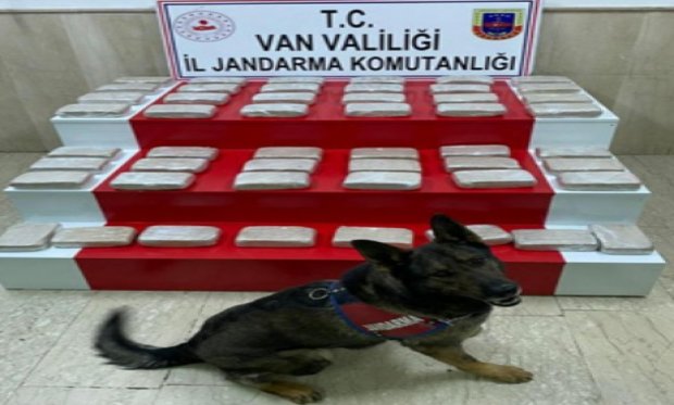 Evdeki 51 kilo eroini narkotik köpeği buldu...