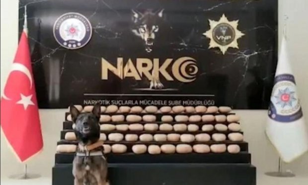 Van'da uyuşturucu tacirlerine darbe! 62 kilo 700 gram toz esrar ele geçirildi...