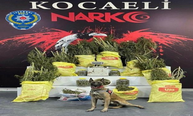 Kocaeli'de uyuşturucu operasyonu...
