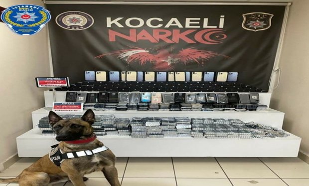 Kocaeli’de Narkotik Dedektör Köpeği  Nitro’dan Kaçış Yok!