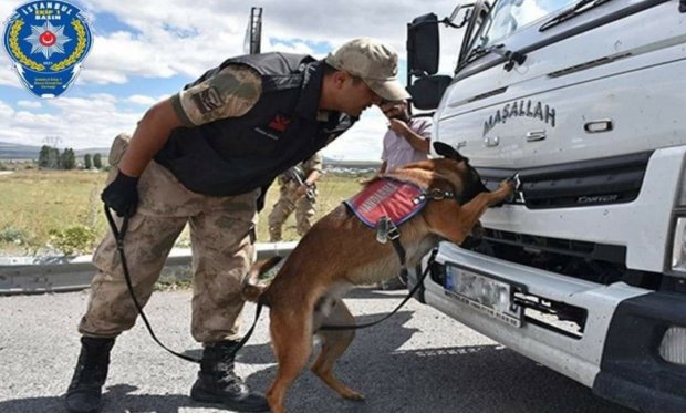 Bomba arama köpekleri önemli operasyonlara katılıyor...