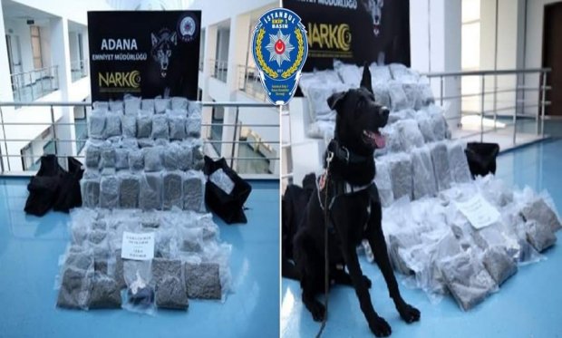 Adana'da yüklü kamyonda 53 kilo 350 gram esrar ele geçirildi...