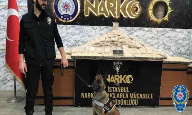 İstanbul Narkotik şube ekiplerinden uyuşturucu operasyonu...