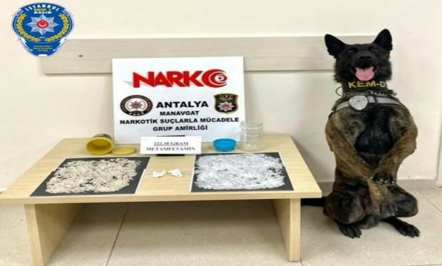 Antalya'da Narkotik Dedektör köpeği "Pars"dan zehir tacirlerine geçit yok...