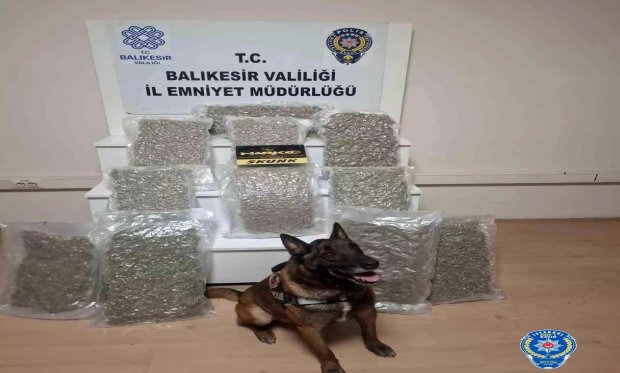 Balıkesir polisinden uyuşturucu operasyonu…