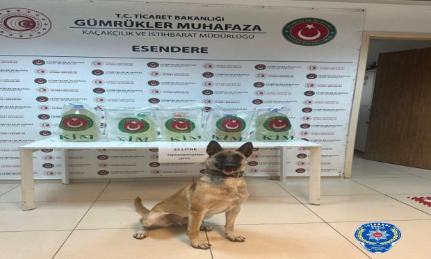 TIR'ın yakıt deposunda 33 litre sıvı metamfetamin ele geçirildi…