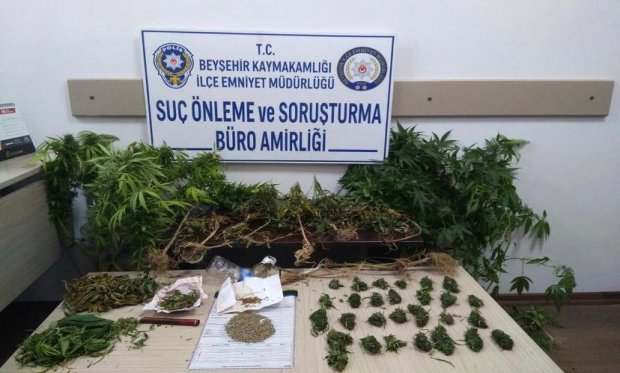 Konya polisinden uyuşturucu yetiştiren iş yerine baskın!