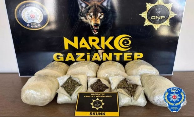 Gaziantep'te 5 kilo skunk ele geçirildi: 2 gözaltı…