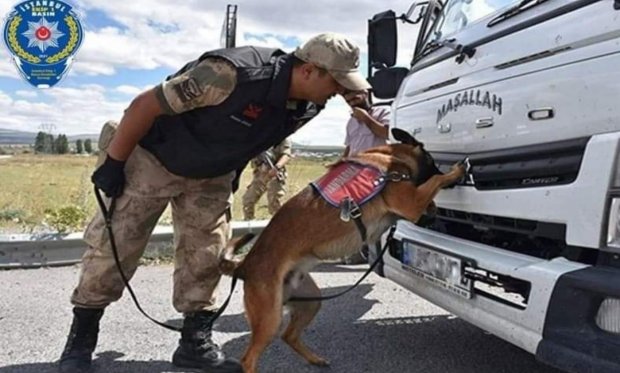 Bomba arama köpekleri önemli operasyonlara katılıyor...