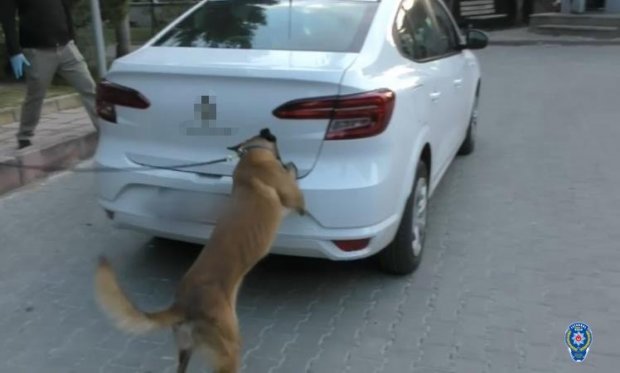 Bolu'da Uyuşturucu Operasyonları: 12 Gözaltı…
