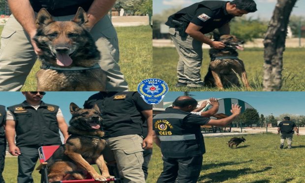Konya’nın kahraman köpeği Artur emekliye ayrıldı…